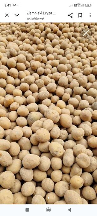 Ziemniaki bryza.