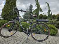 Rower Elektryczny WAYSCRAL Eweryway E200N