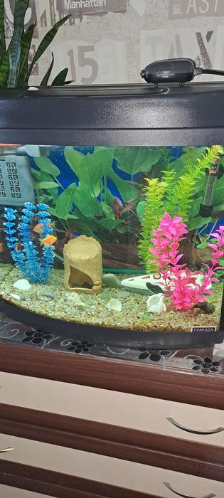 Продам Акваріум 60 л