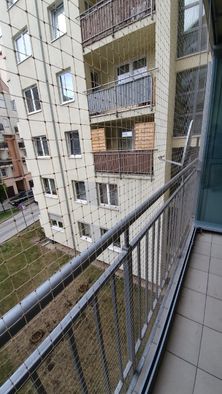 Siatka balkonowa dla kota. Siatka na balkon Siatka przeciw gołębiom