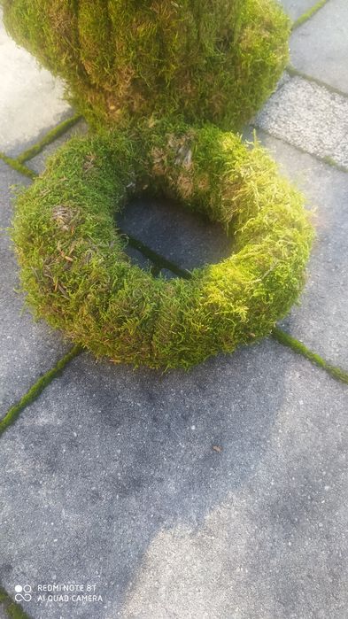 Naturalne wianki z mchu