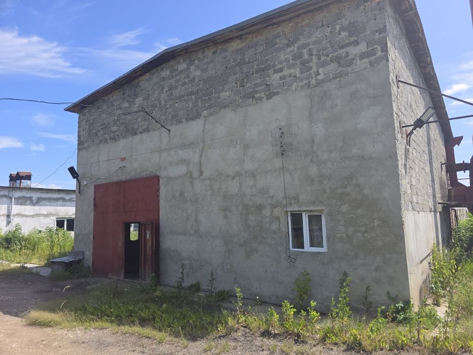 Цех виробництво шпону