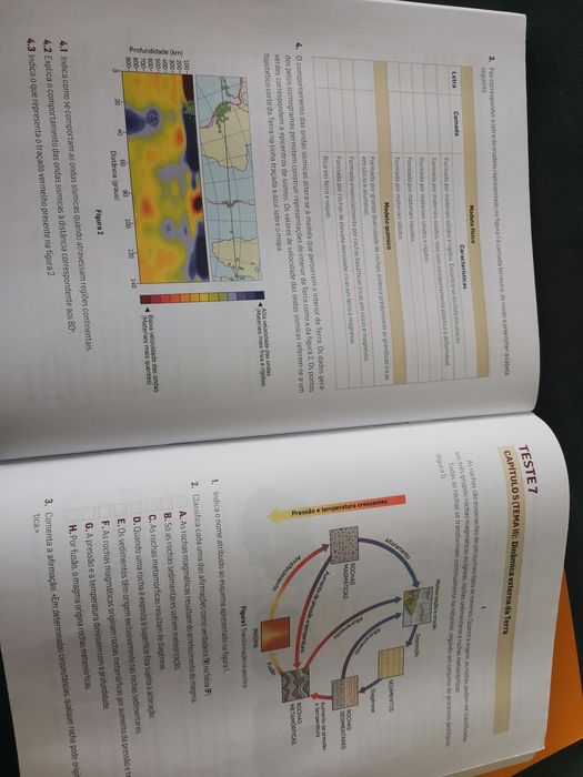 Caderno de apoio ao estudo, ao professor