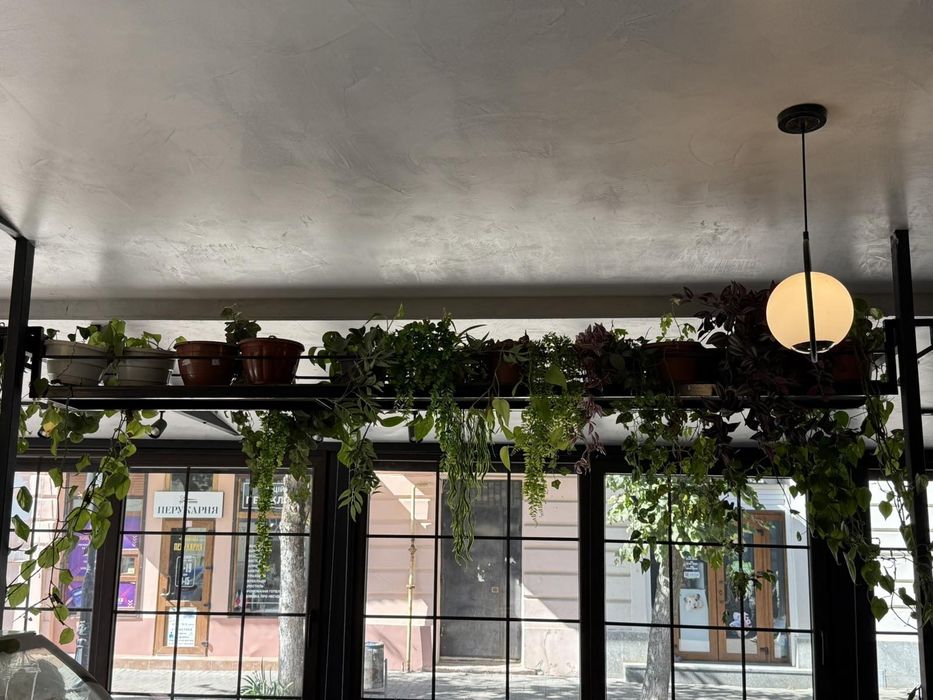 Кав'ярня в центрі міста