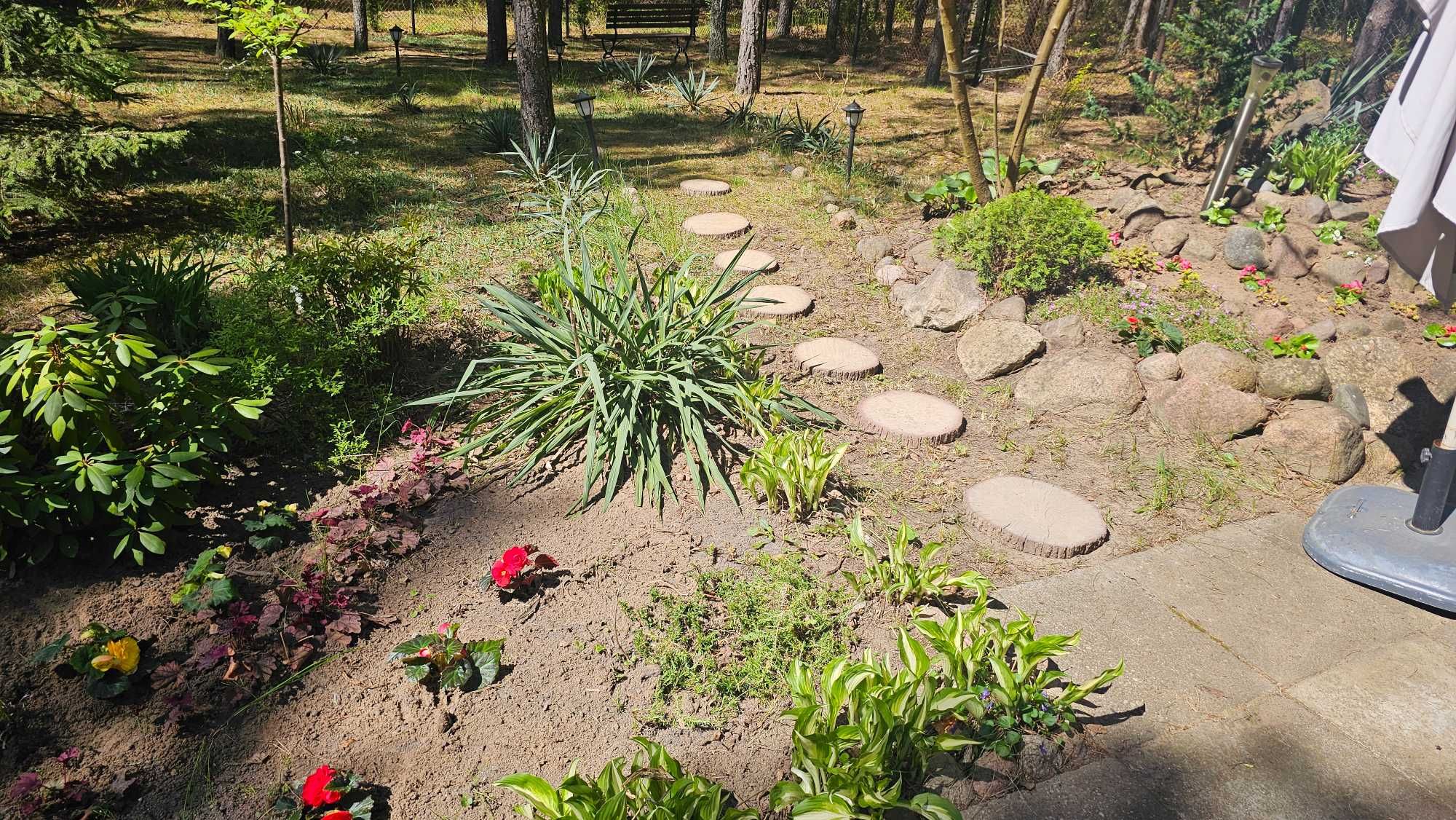 Sprzedam działkę leśno-rekreacyjną 1000m2 Nad Jeziorem Skrzyneckim