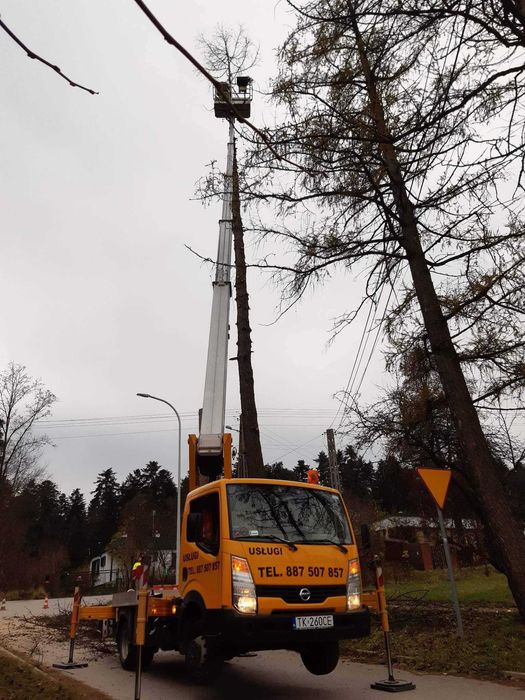 Podnośnik Koszowy Zwyżka Wycinka Drzew Gałęzi Wysięgnik Montaż Reklam