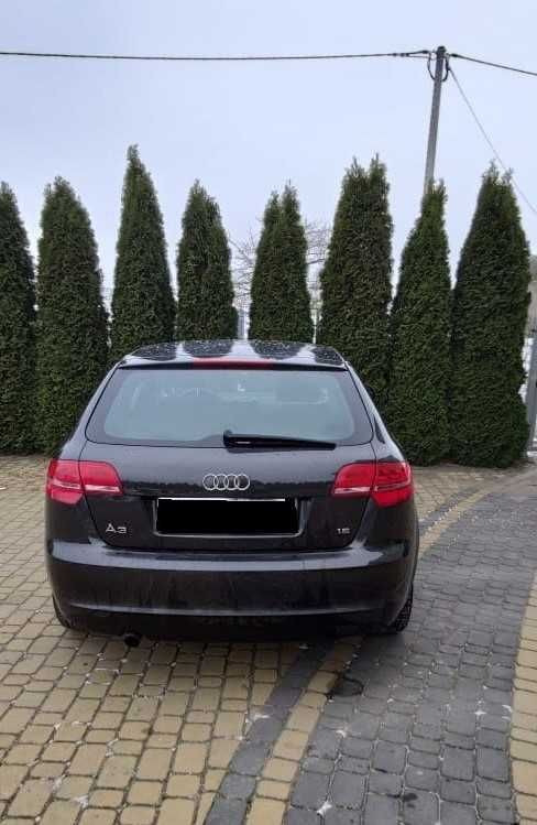 Audi A3 8P 2009 rok 1.6 MPI