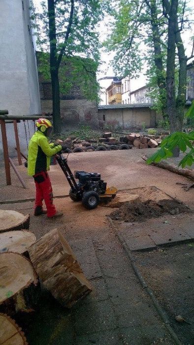 Pielęgnacja drzew wycinka zrębkowanie gałęzi alpinista frezowanie pni