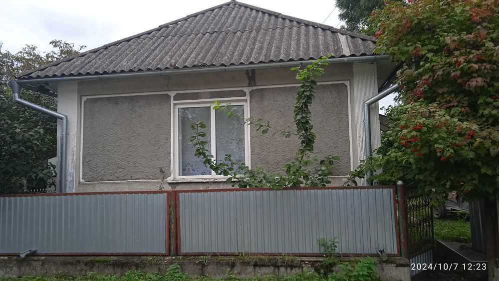 Будинок з присадибною ділянкою