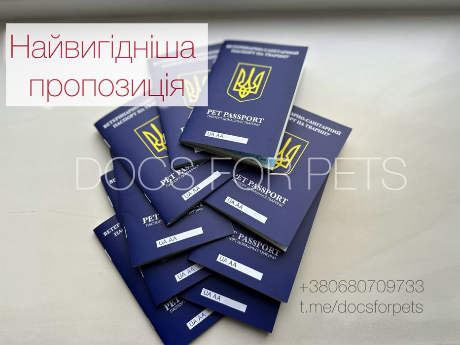 ТЕРМІНОВІ Паспорт титри документи для котів собак закордон перевезення