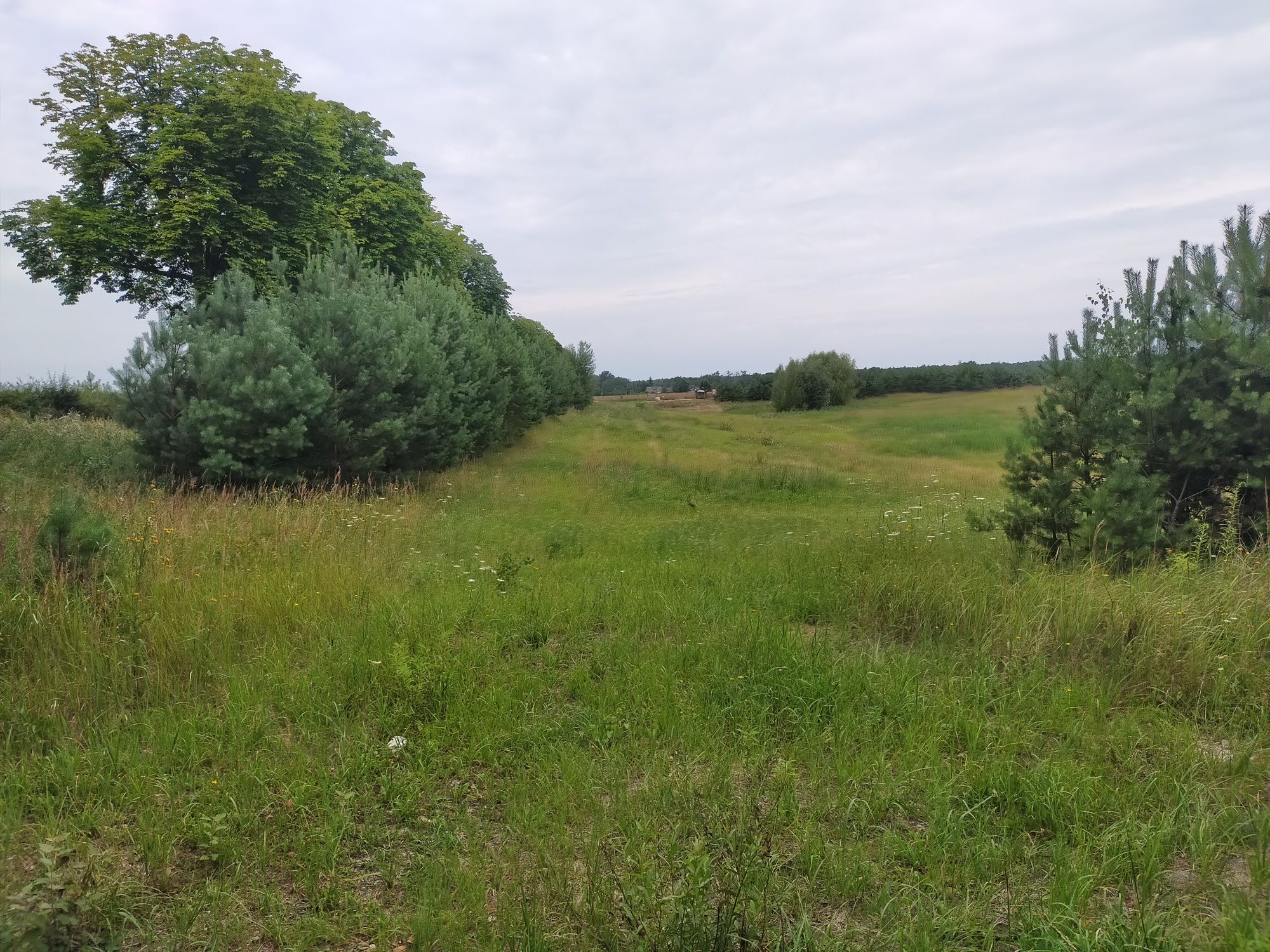 Działka budowlana 1000m²