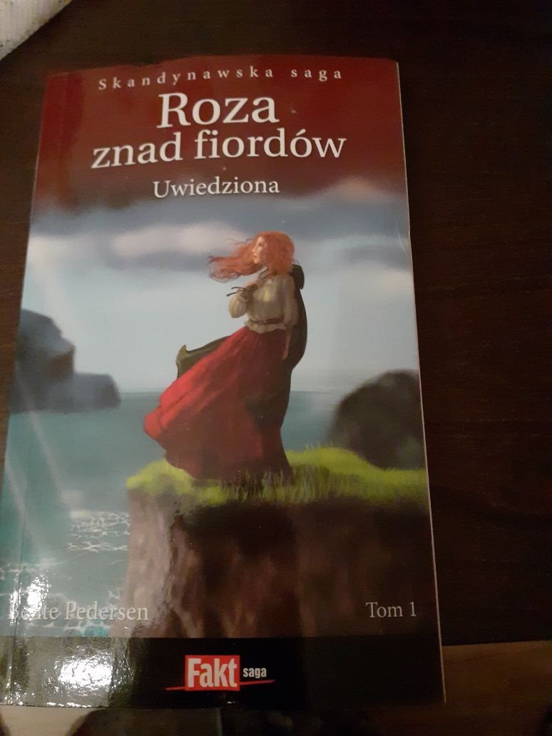 Sagi skandynawskie 10 sztuk