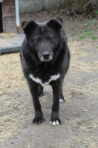 587829 Aleks do adopcji.
