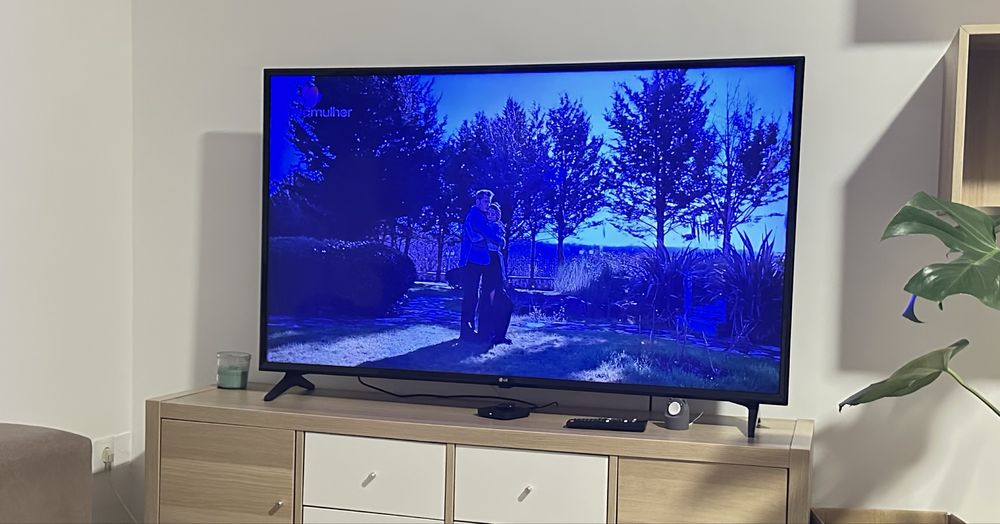 TV Led LG SMART TV 49