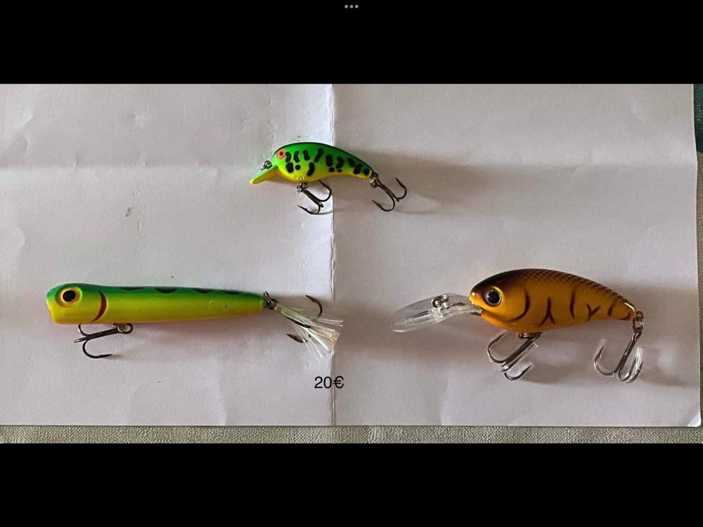 Amostras achiga -black bass