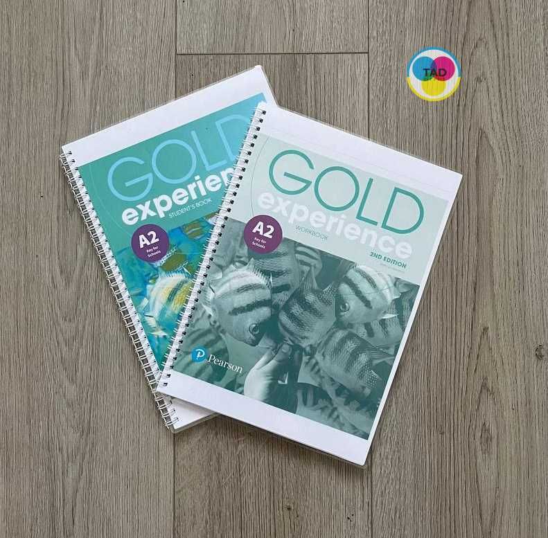 Gold Experience Second Edition A1, A2, B1