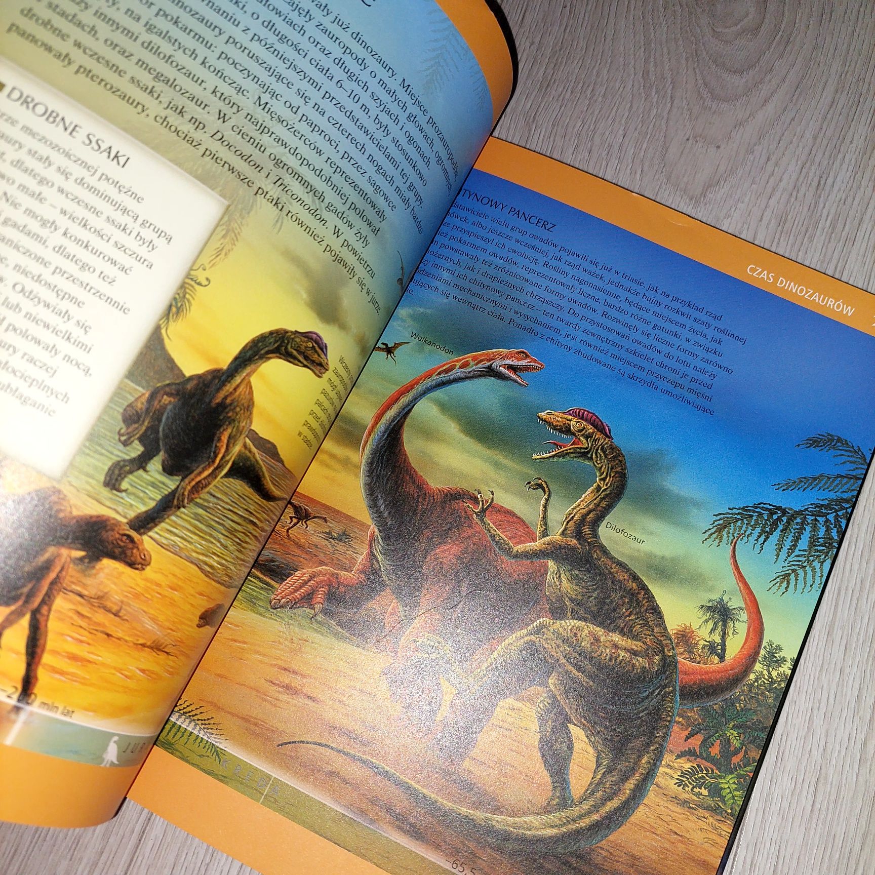 książka o dinozaurach