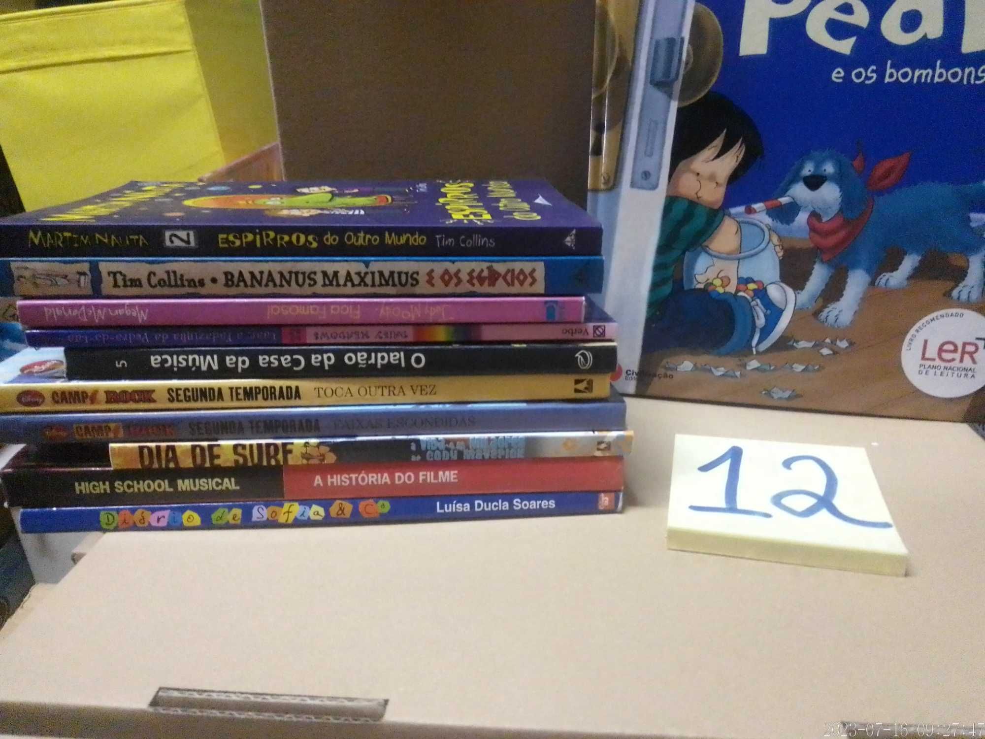 LOTE 12 - LIVROS Diversos - Vendidos INDIVIDUALMENTE - Vários Preços