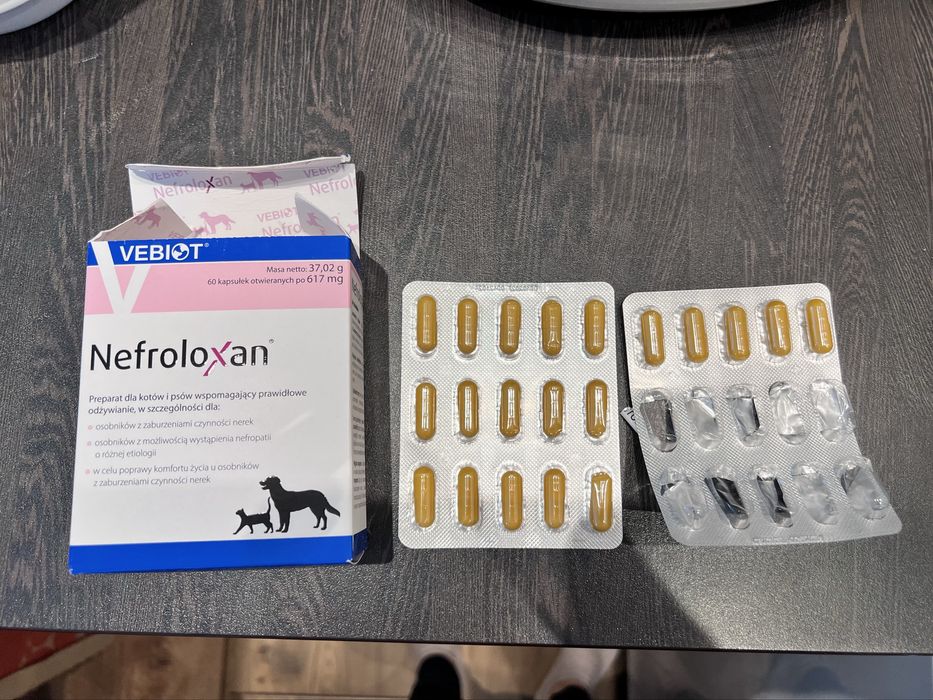 Nefroloxan 20 kapsułek