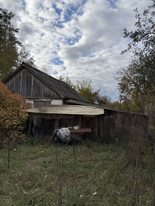 Ділянка в Мошнах біля лісу