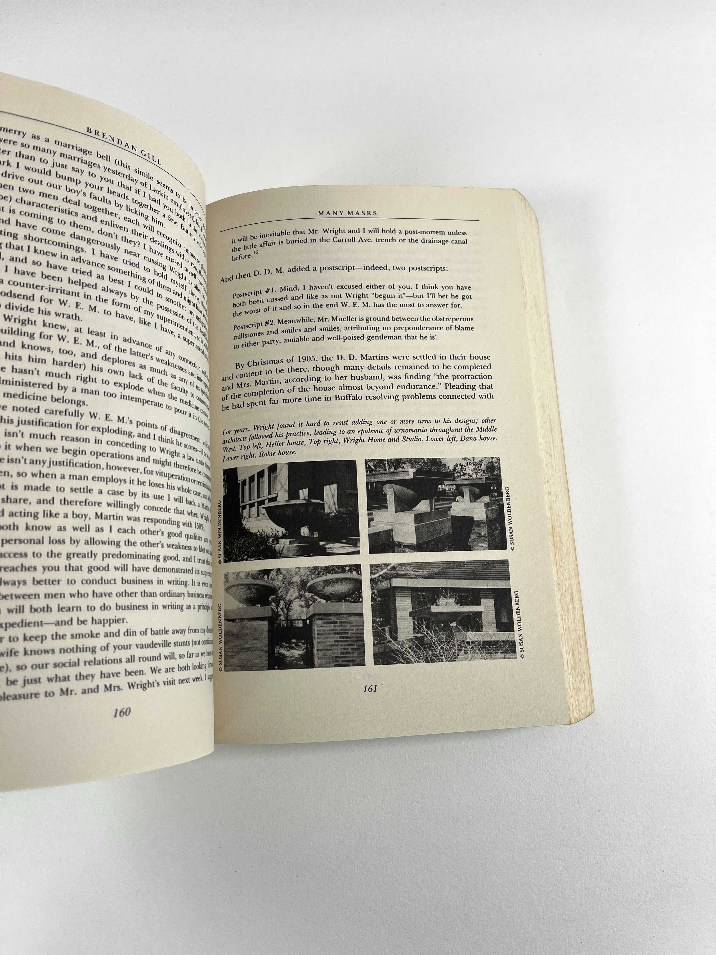 Many Masks a Life of Frank Lloyd Wright Brendan Gill Livro Arquitetura