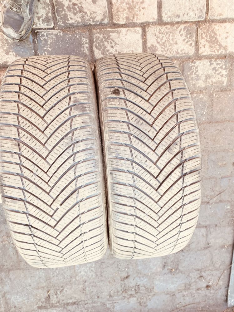 185/55r14 impeeial wielosezonrok 2018