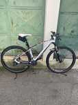 Bicicleta btt carbono olympia R29