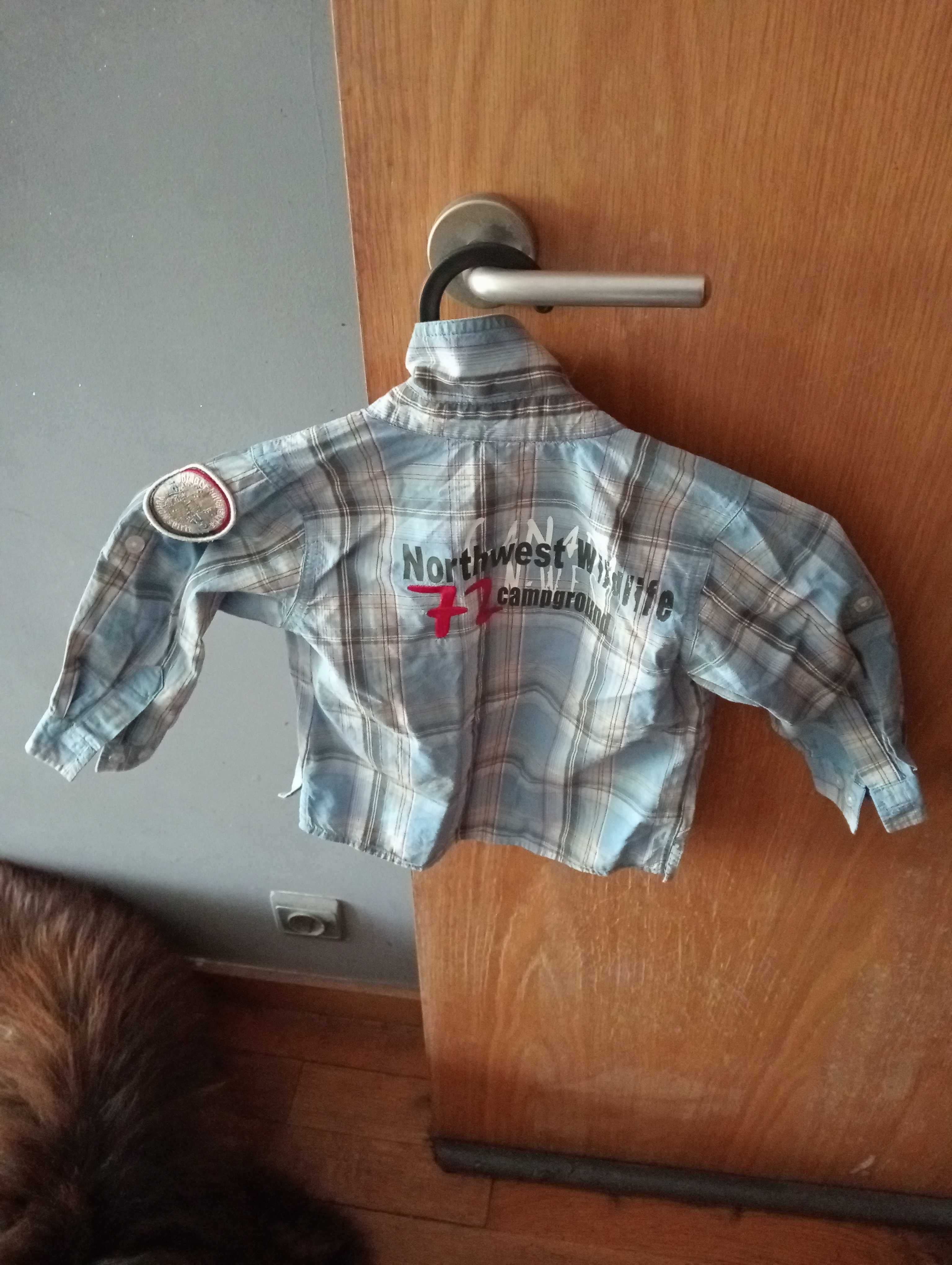 Camisa de criança