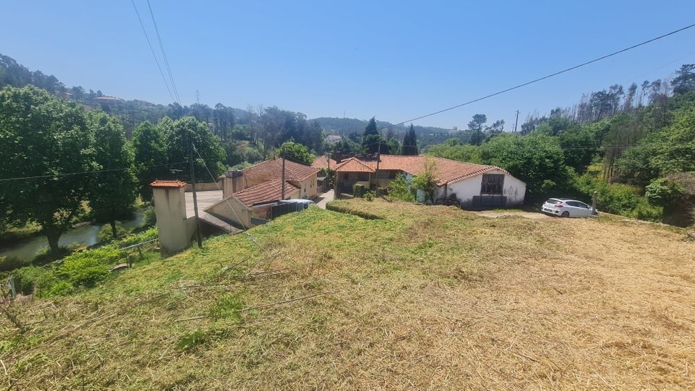 Limpeza de terrenos