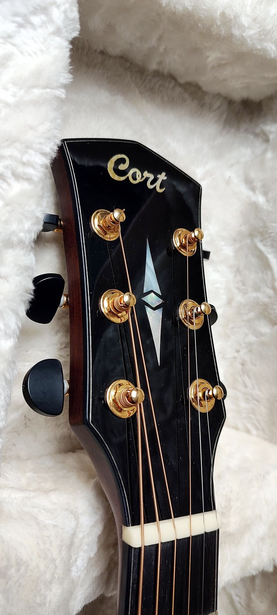Cort Cut Craft Limited Edition NEW jak Gibson Guild Martin Yamaha