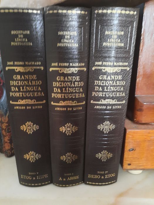 Dicionário de língua portuguesa