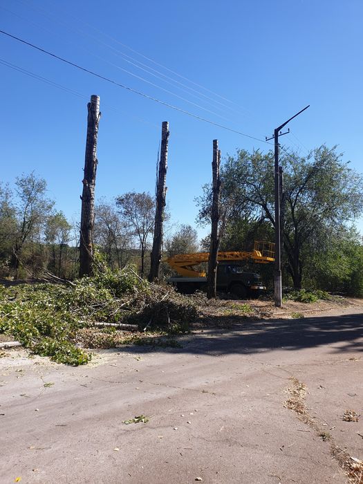 Спил дерев будь якої складності | Розчистка ділянок, вивіз сміття