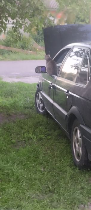 Volkswagen Passat b3