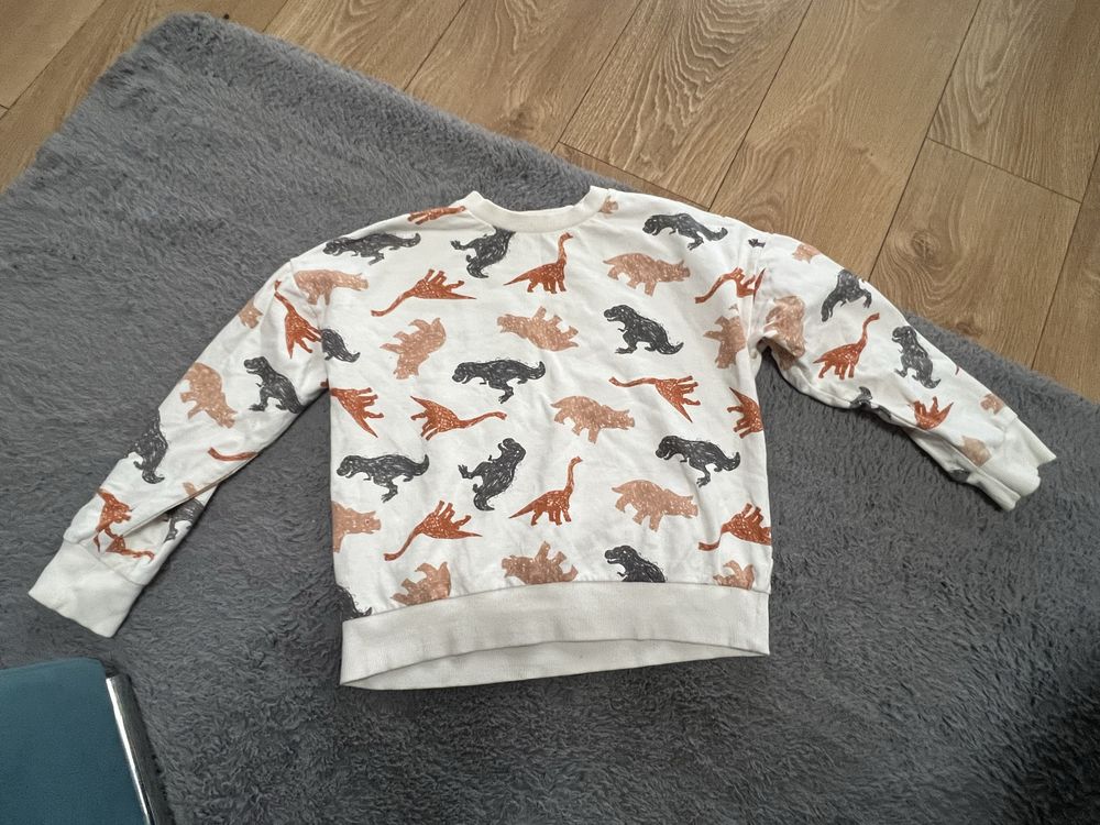 Bluza Sinsay r. 140 dinozaury
