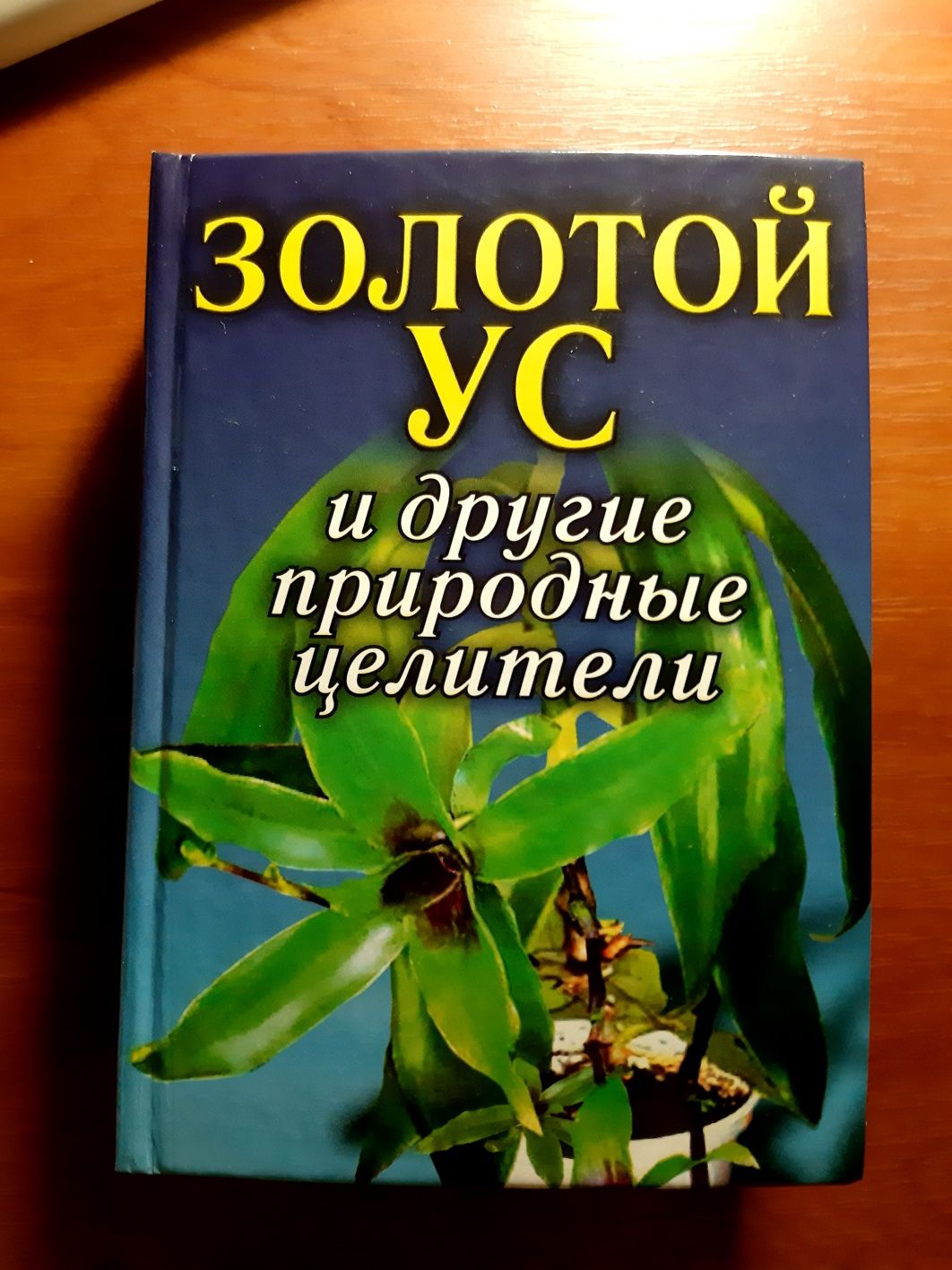 Книга Золотой Ус и другие природные целители