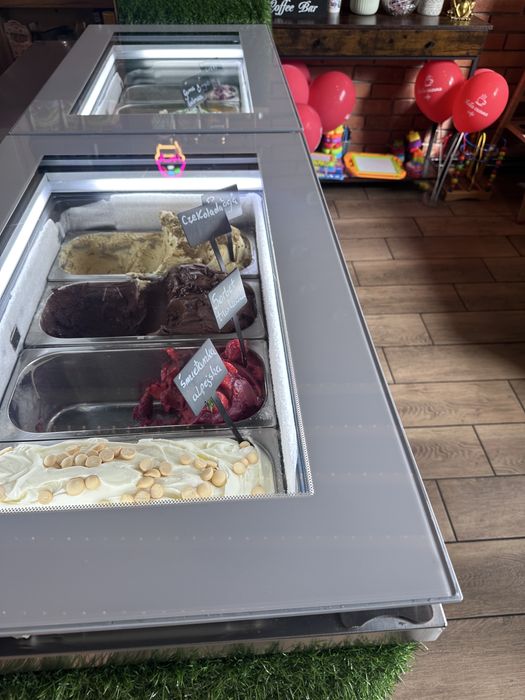 Konserwator witryna do lodów