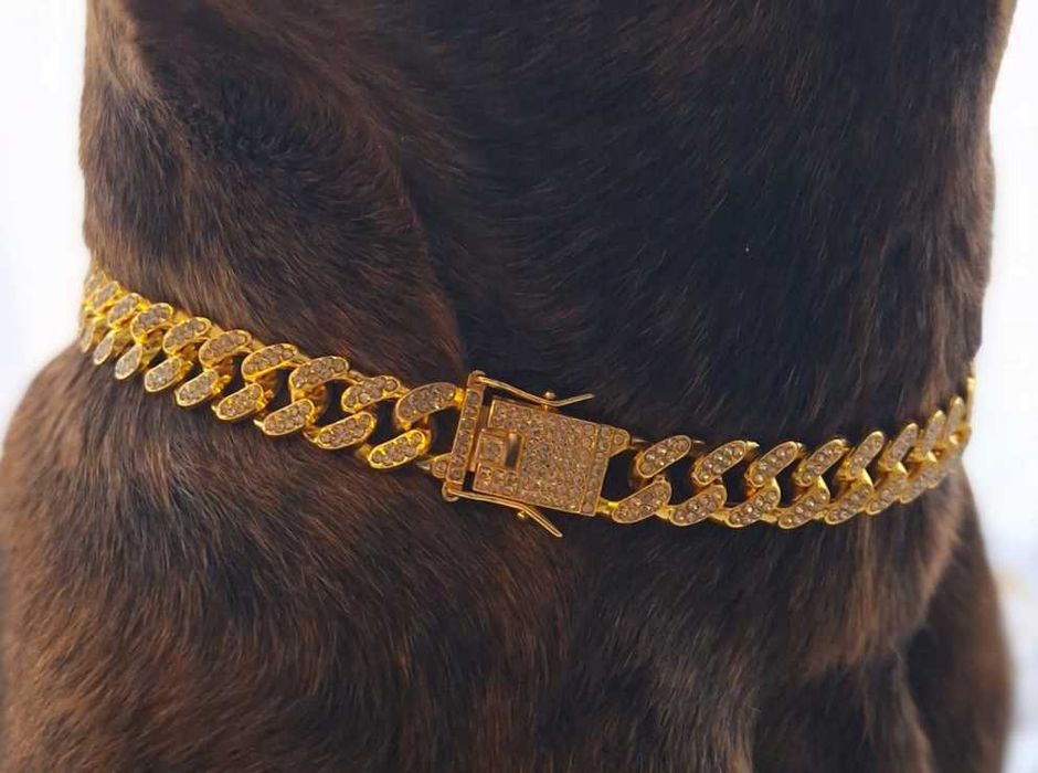 Ekskluzywny łańcuch dla psa złoty z cyrkoniami metal premium 20-30cm