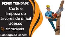 Corte e limpeza de árvores