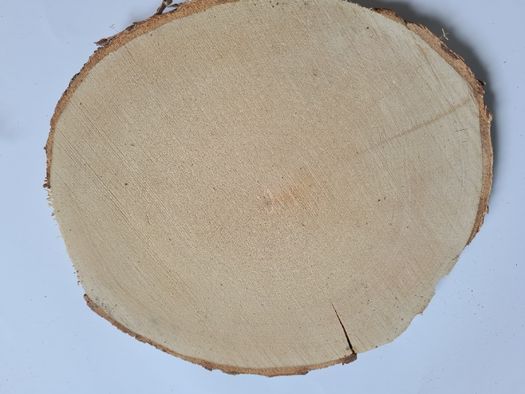 plastry drzewa drewna ozdoba