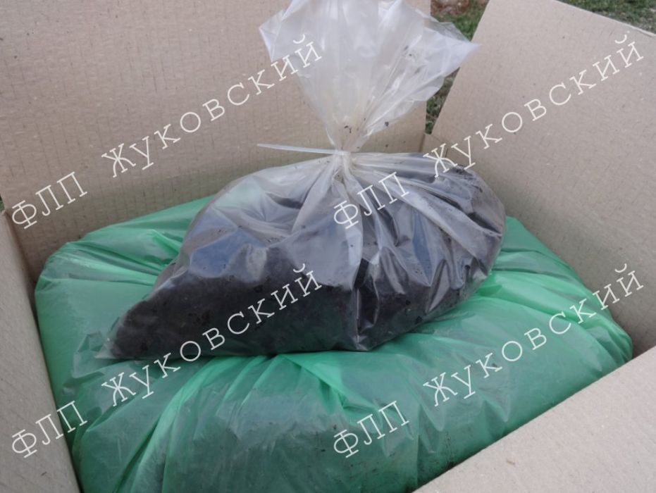 Печериці білі, готовий комплект для вирощування Сімейний