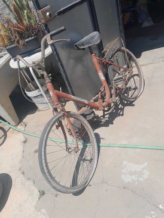 Bicicleta rapariga