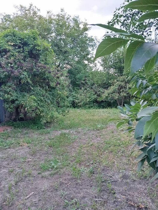 Земельна ділянка зі старою хатою