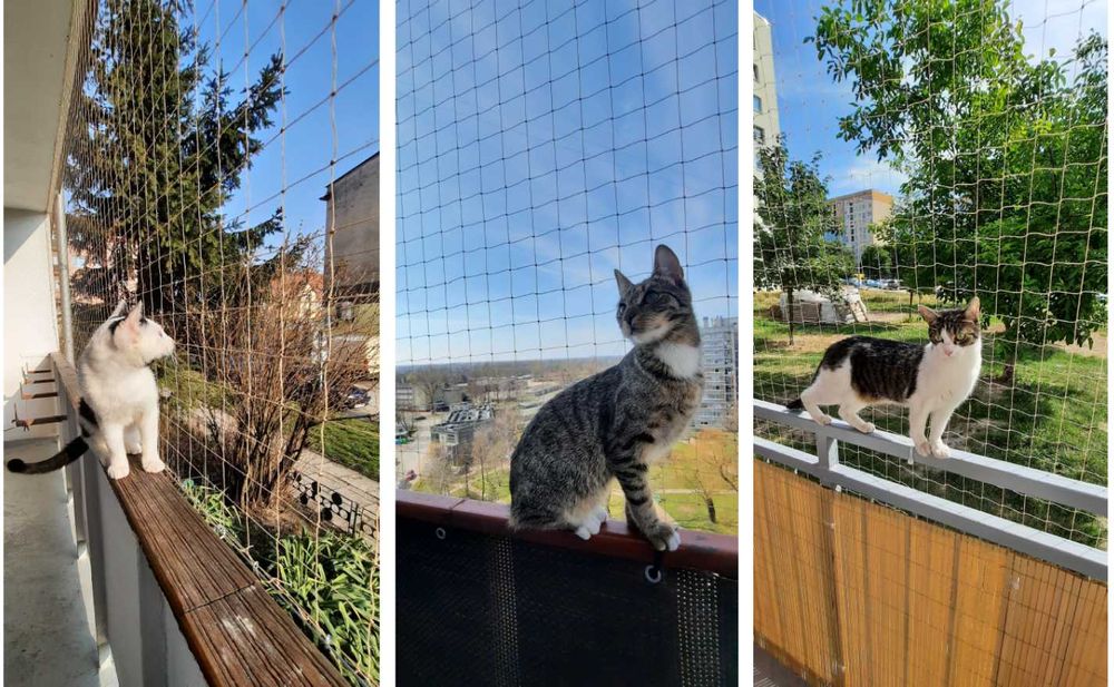 Siatka na balkon okno taras, na gołębie/dla kota, montaż kolce