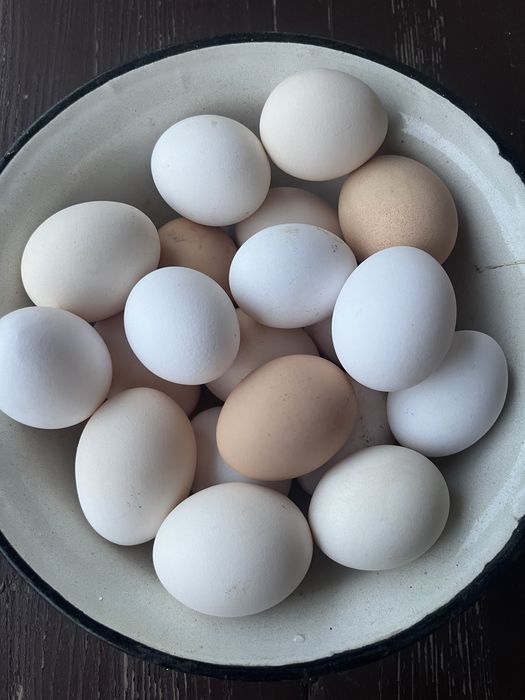 Duże Jajka jaja od kur wiejskie z wolnego  wybiegu