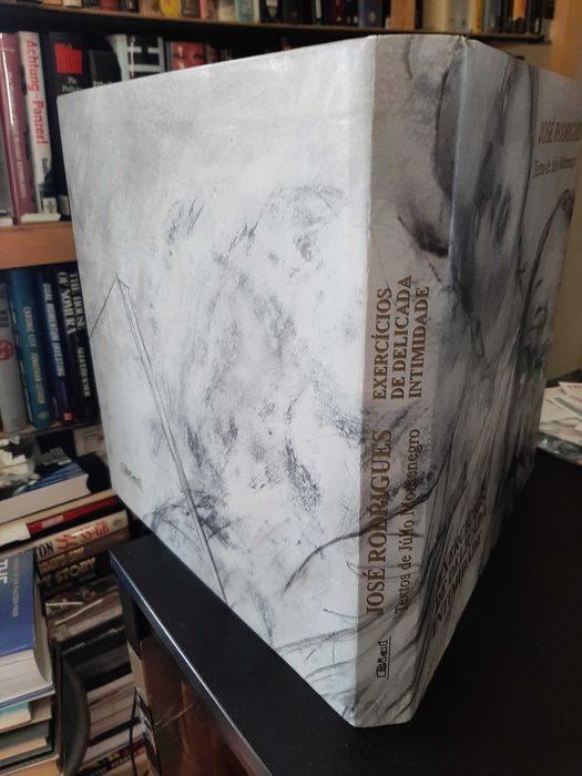 José Rodrigues, Júlio Montenegro – Exercícios de Delicada Intimidade