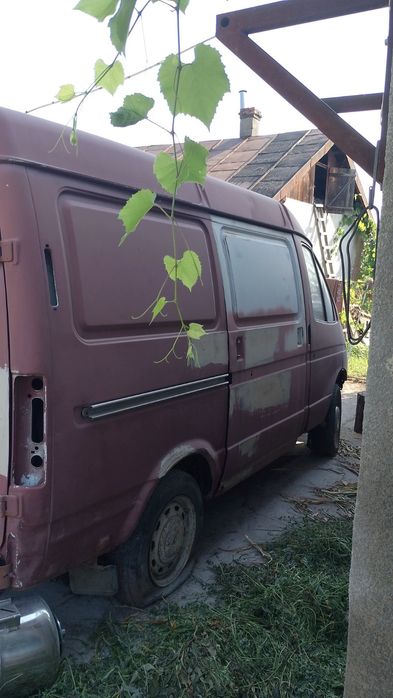 Продам газель(соболь)