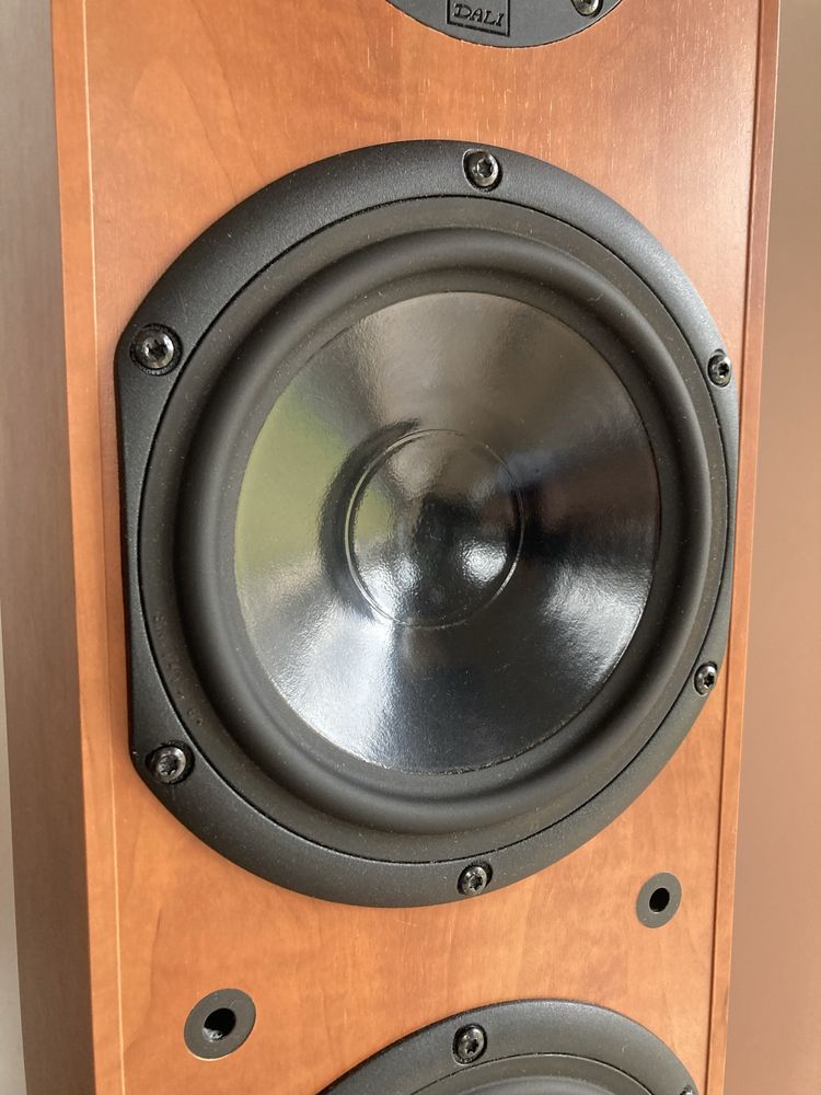 Dali Suite 2.5 kolumny podlogowe