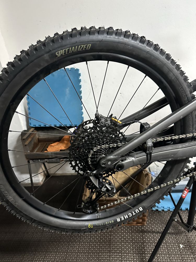 Specialized status 160