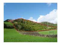 VENDA de TERRENO RÚSTICO - São Roque, Ponta Delgada, Ilha de São Mi...