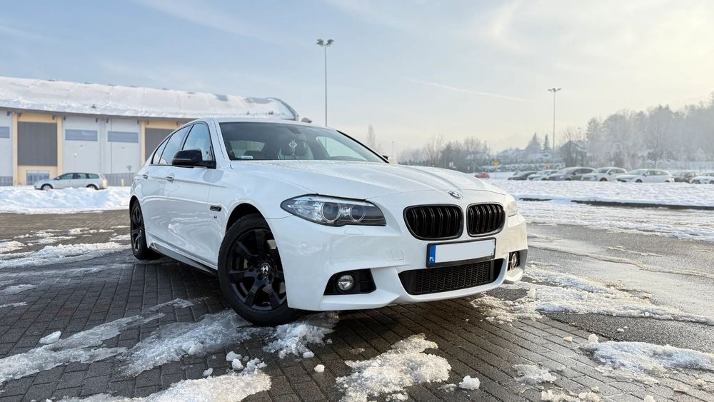 BMW Seria 5 BMW Seria 5 520D M Pakiet PERFORMANCE